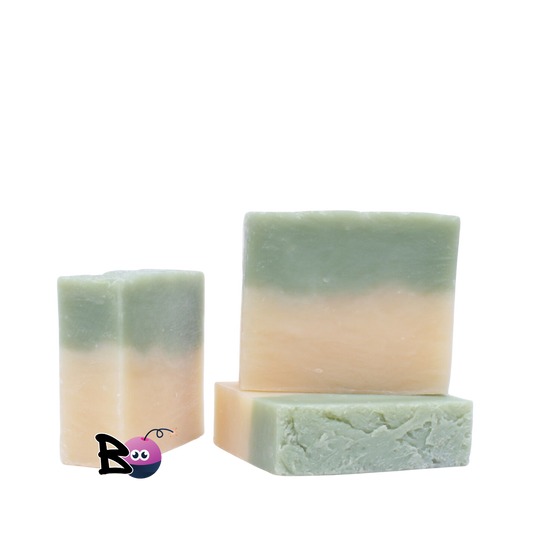 Melon Medley  Vegan Natural Soap with Aloe